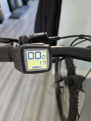 Haibike HardNine 4 2021