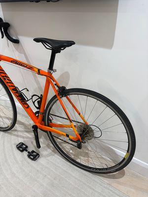 Specialized Allez Comp Road 2023