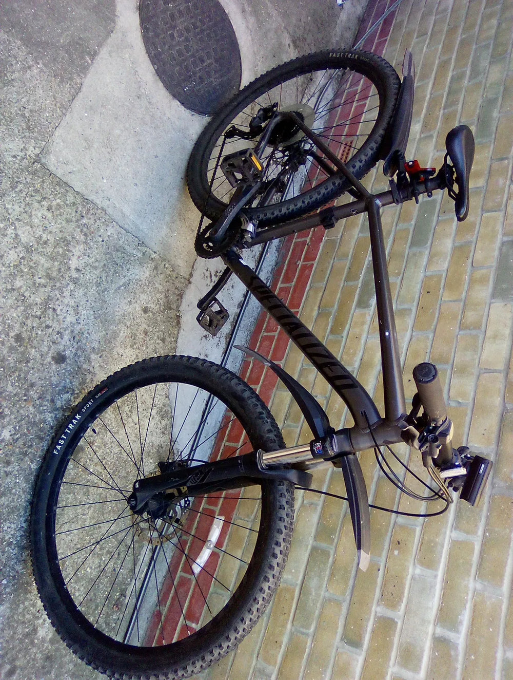 Specialized Rockhopper 29 2017