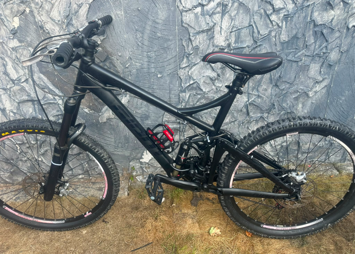 Giant Reign 2 2013