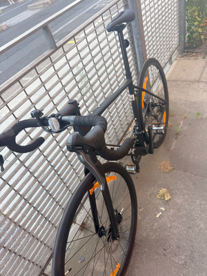 Trek Domane AL 2 Gen 4 Road 2027