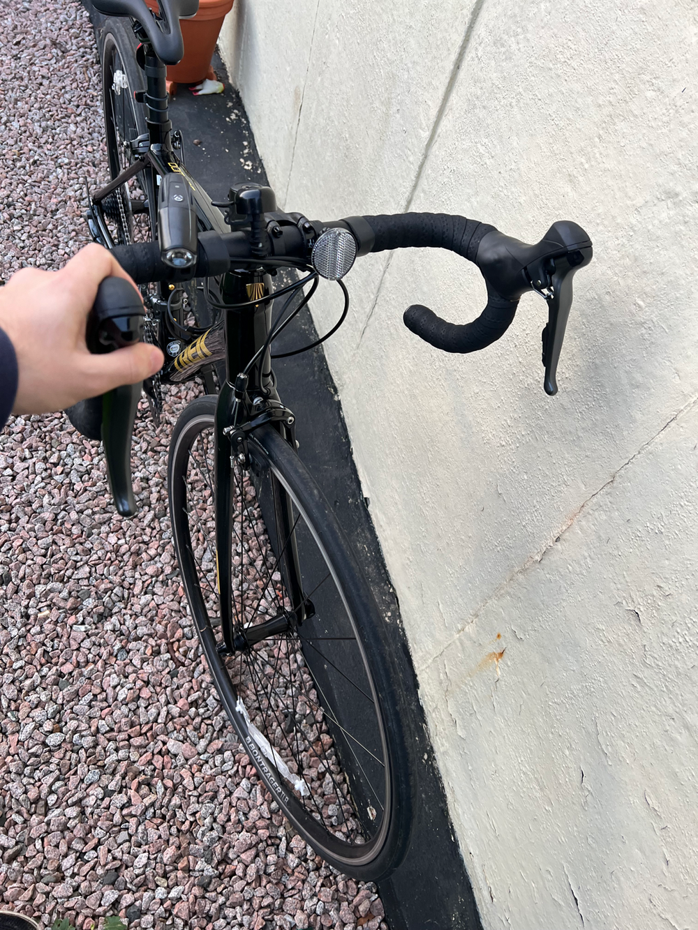 Trek Domane AL 2 2023