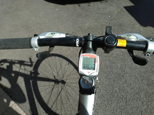 Giant Rapid 4 2010