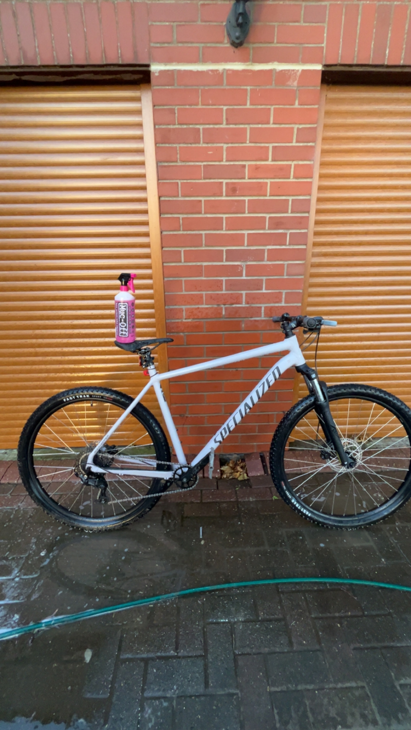 Specialized Rockhopper 29 2026