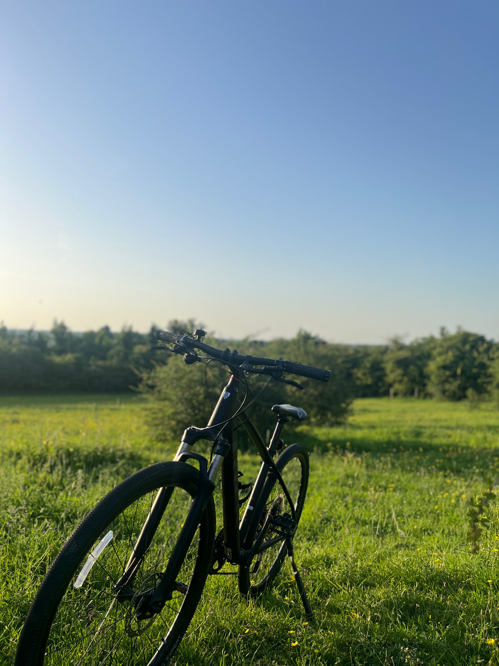 Trek Dual Sport 4 Gen 4 2023