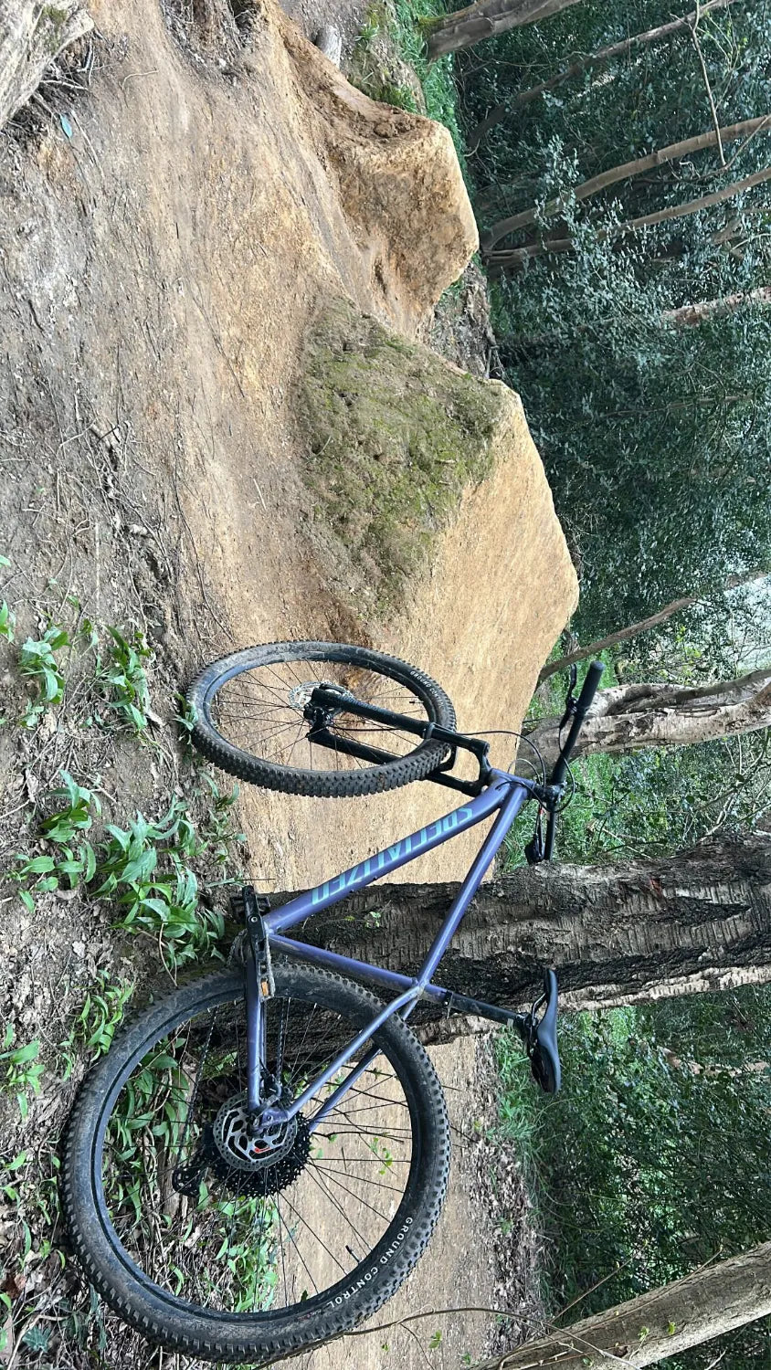 Specialized Rockhopper Comp 29 2025