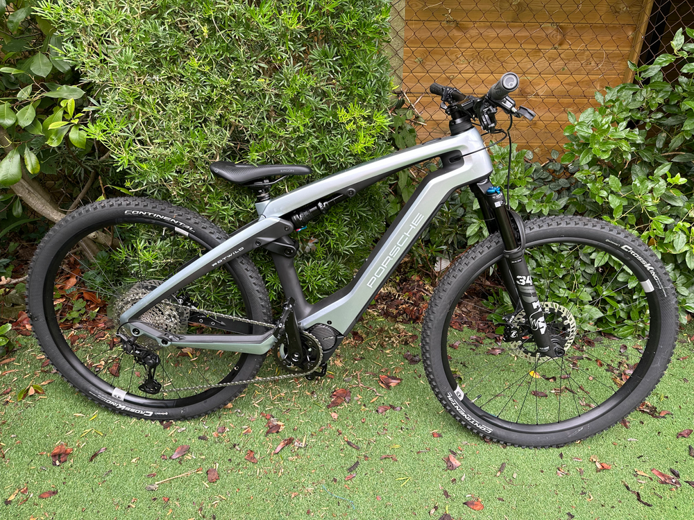 Porsche Rotwild cross 2024