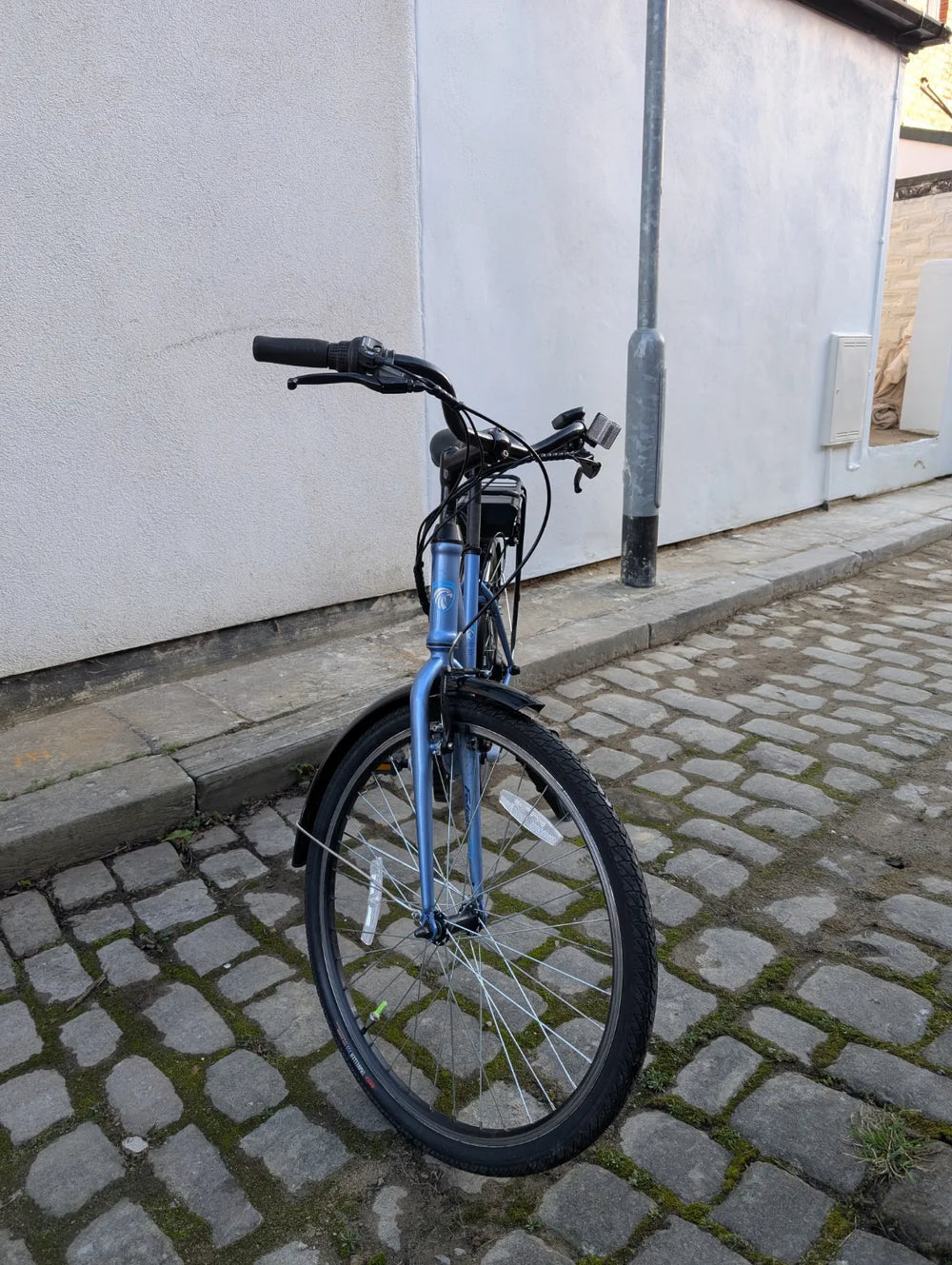 FALCON Serene 2023