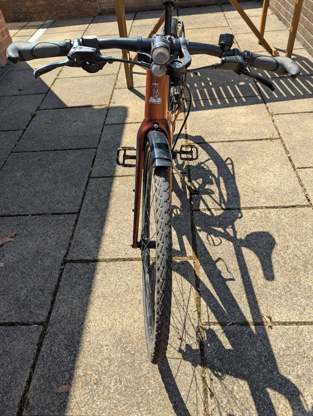 Raleigh Trace Electric 2023