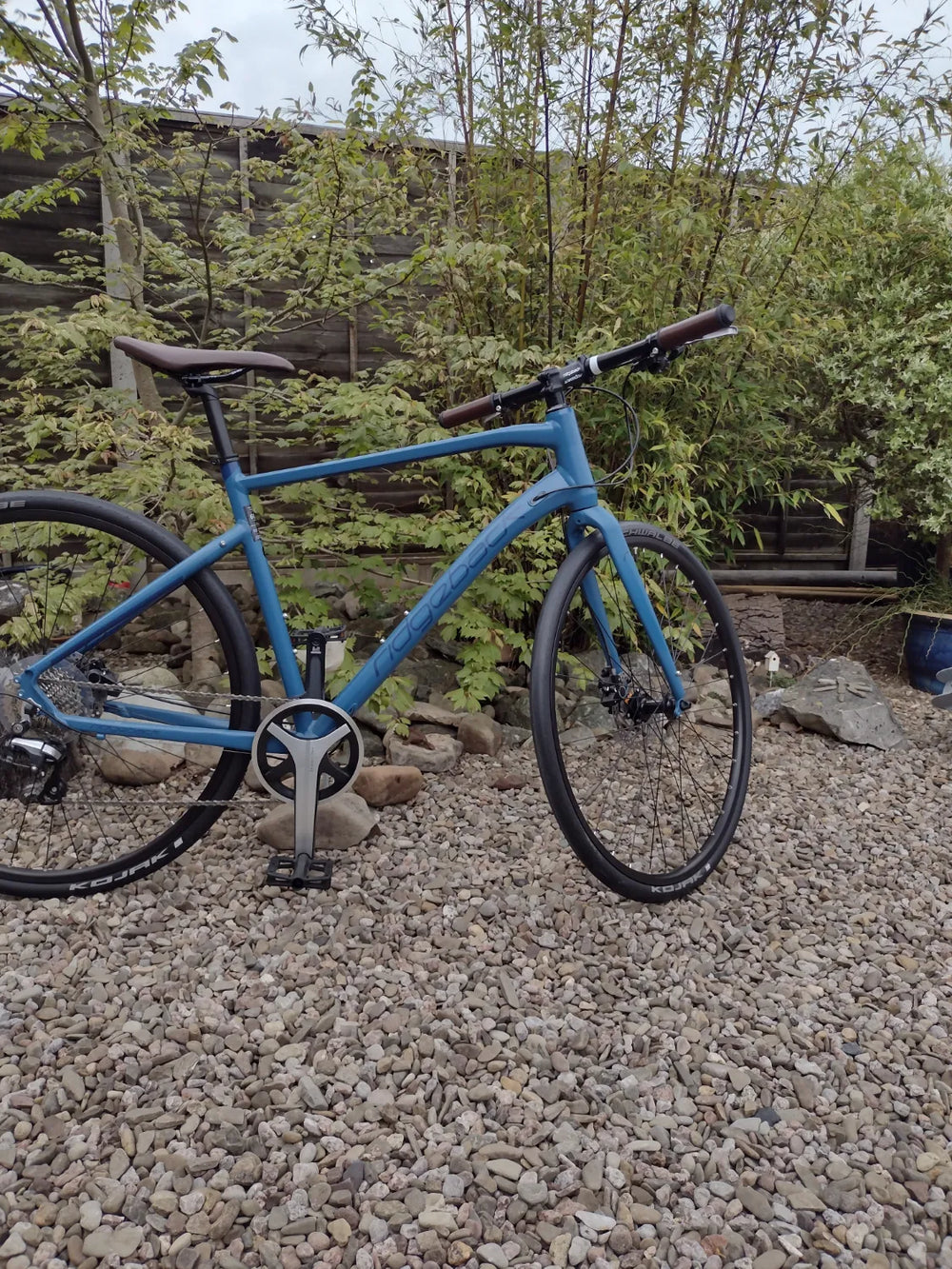 Ridgeback Flight 4.0 2019