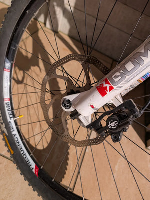 Litespeed Niota AL