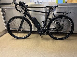 Raleigh Mustang E Comp 2019