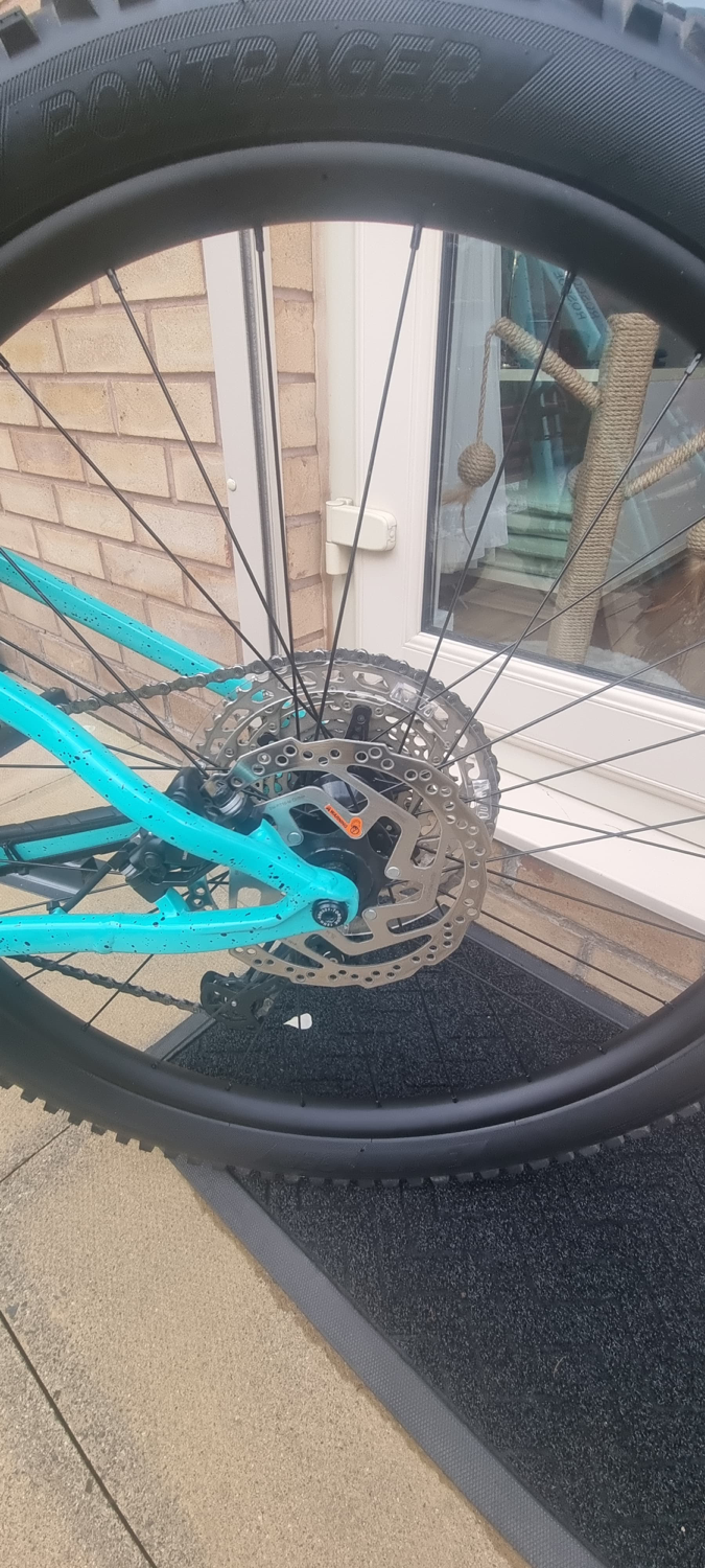 Trek Roscoe 7 2024