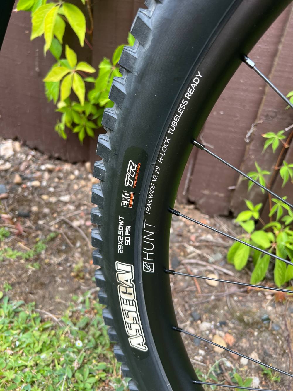 GT Sensor Carbon Elite 2025
