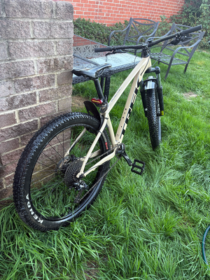 Trek Roscoe 6 2021