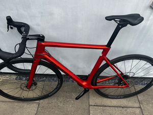 Basso . 2023