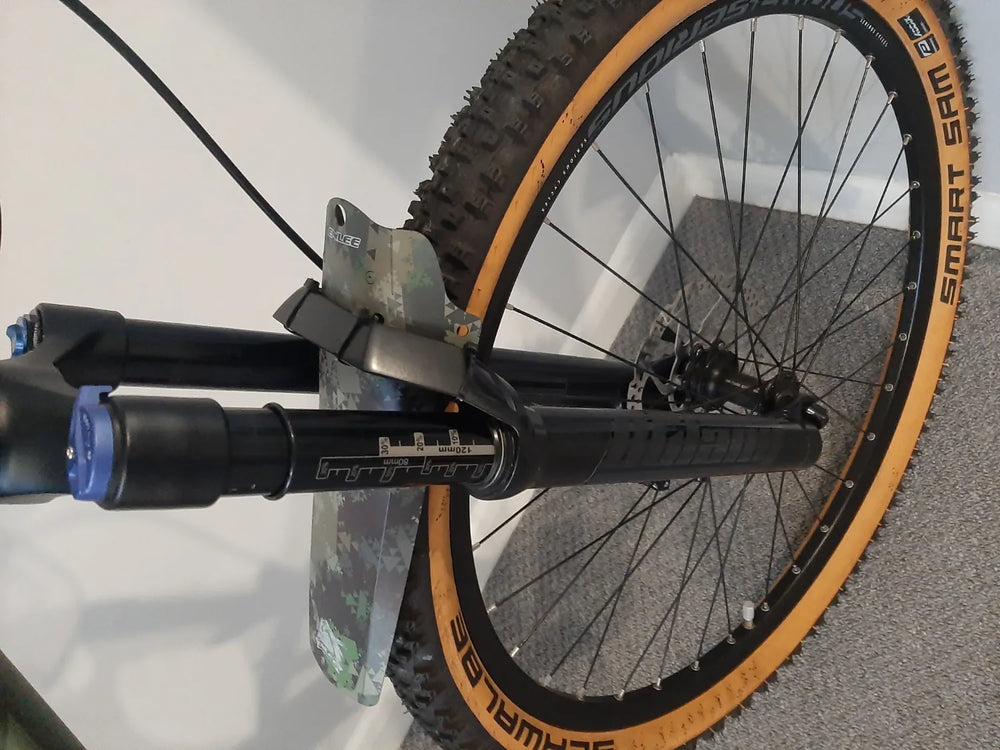 Serious cycles Global  Shoreline  2021