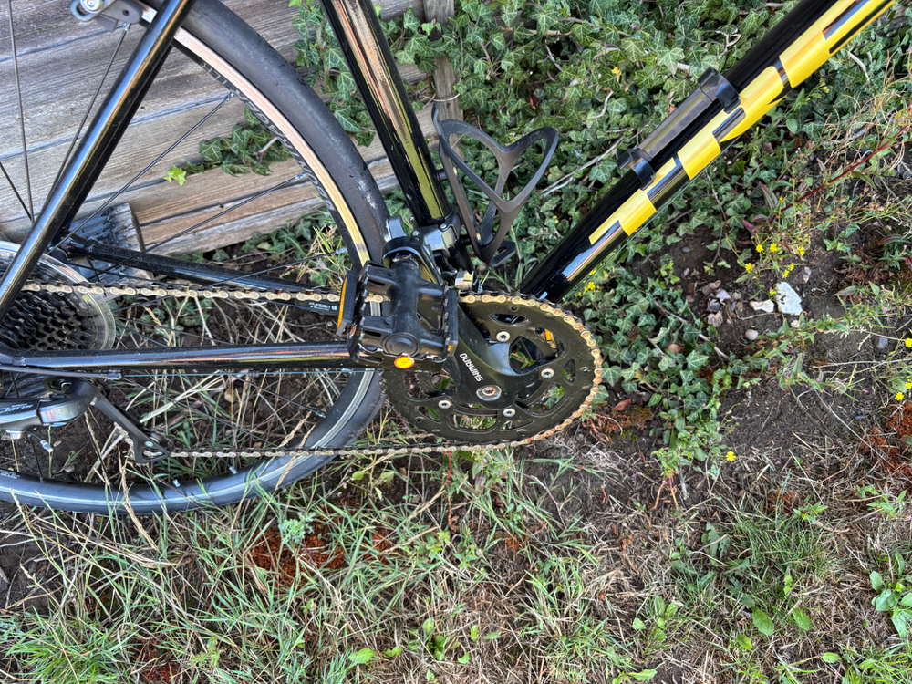 Trek Domane AL 2 2024