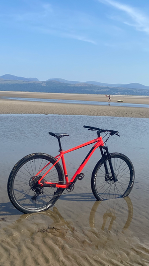 Cannondale Trail 2 29er 2019