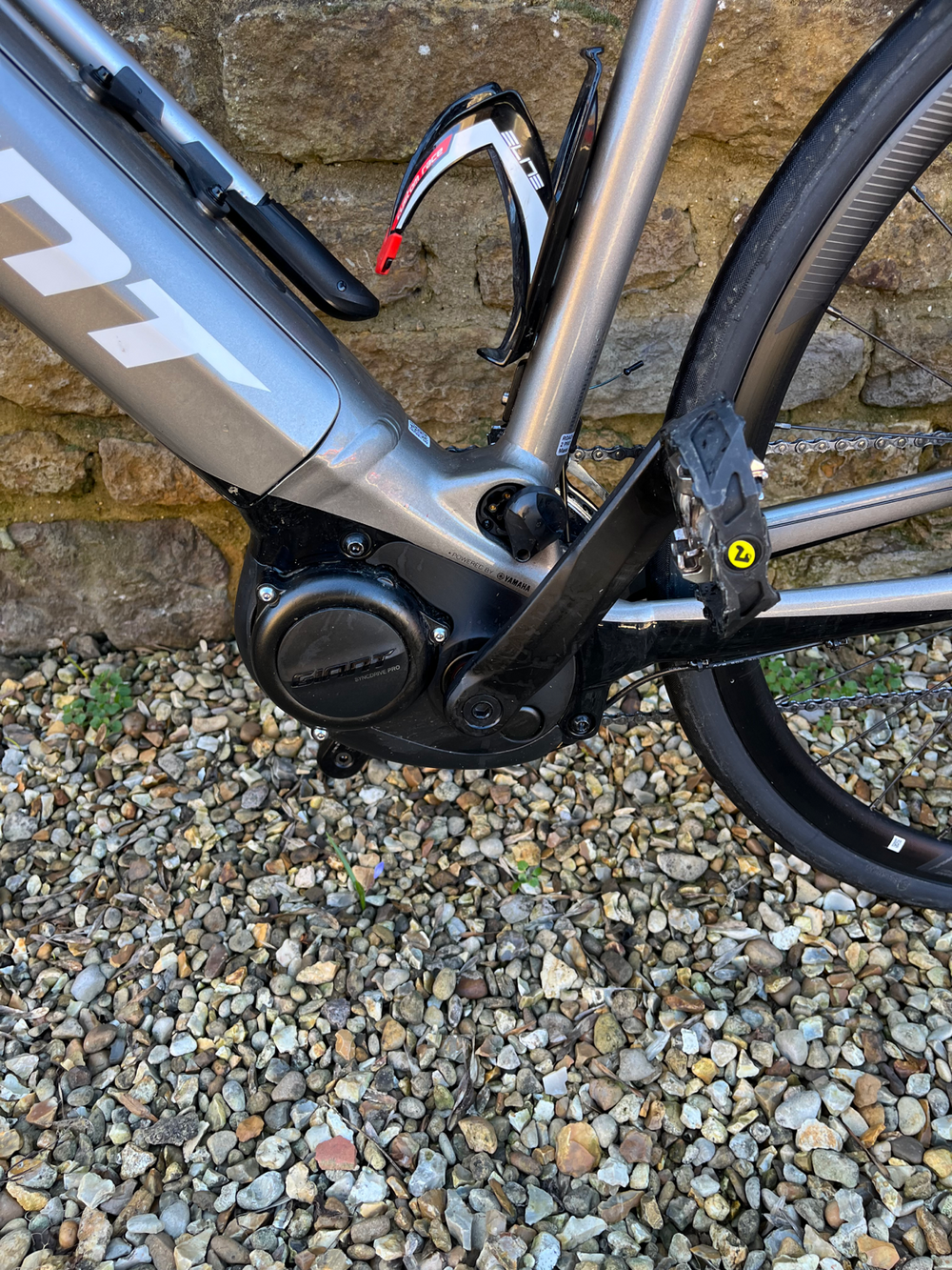 Giant E+2 Pro 2020