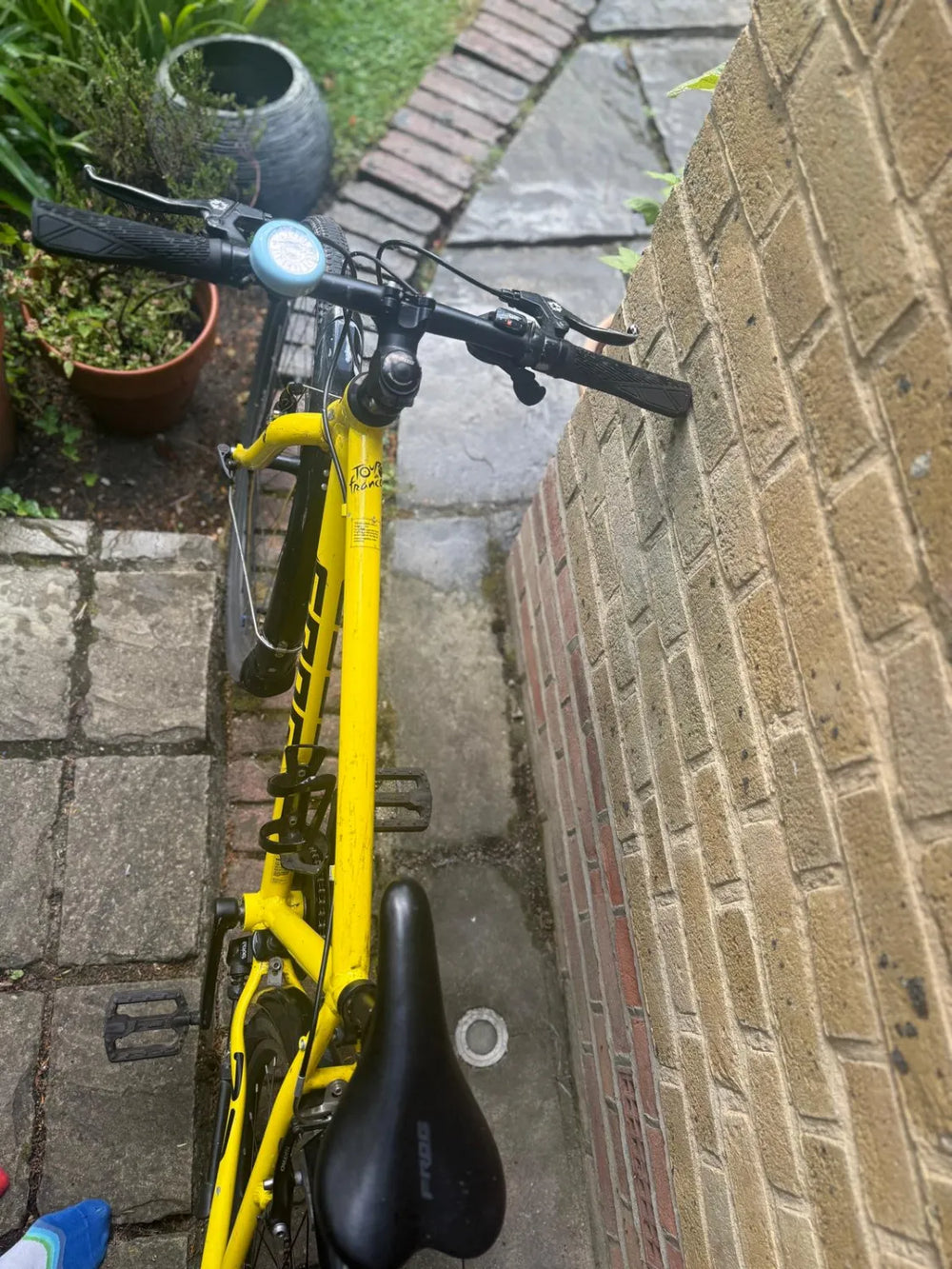Frog Frog 73 Tour de France 2021