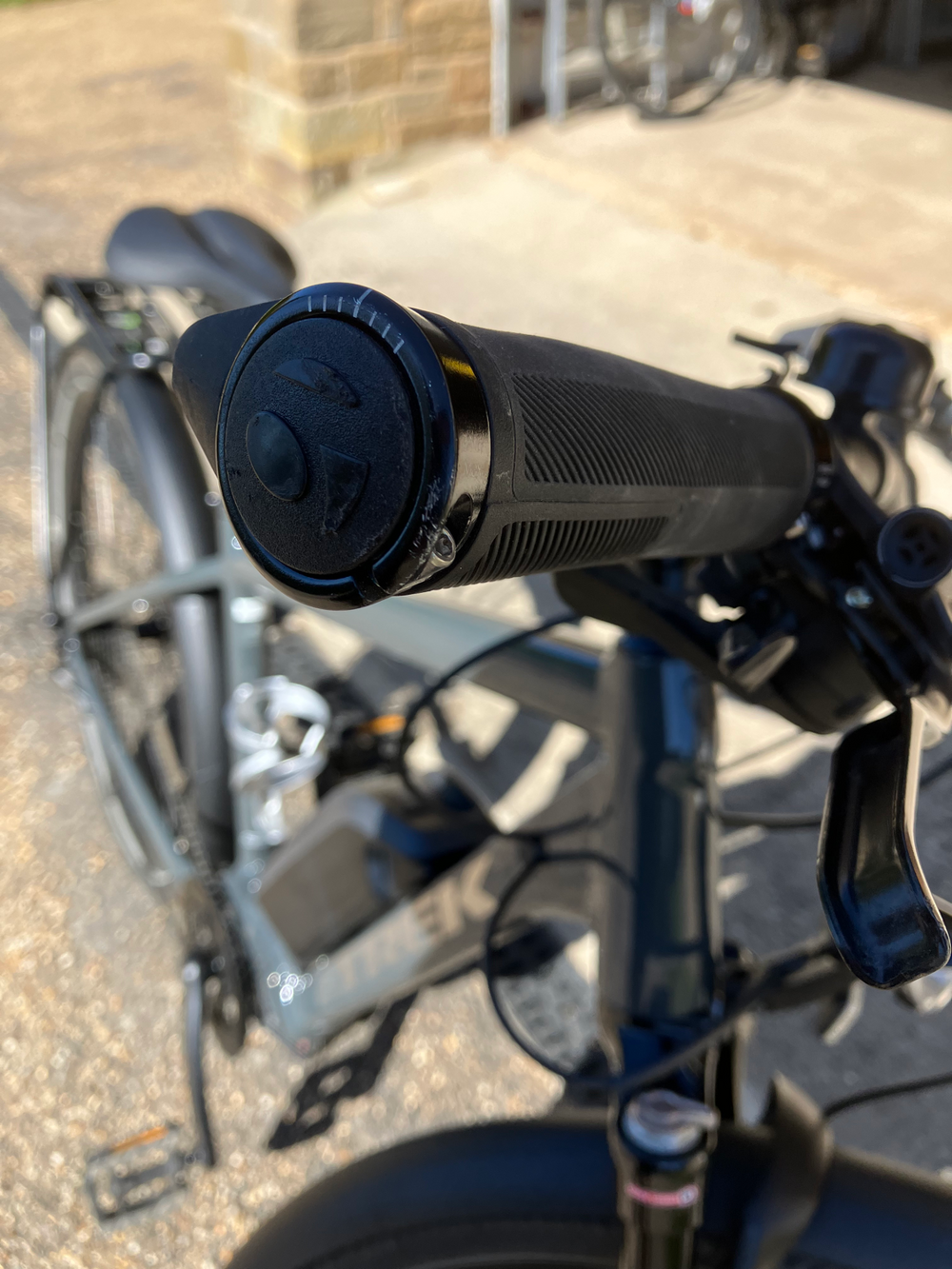 Trek Allant+ 5 2021