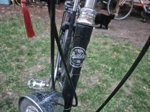 Pashley Princess Sovereign 5 Speed