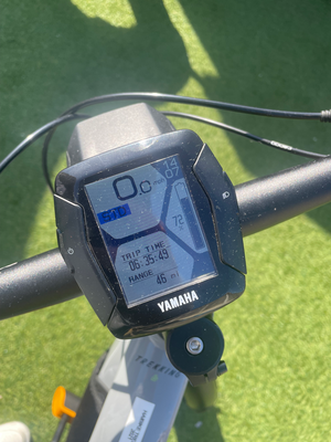 Haibike Trekking 6 Lowstandover 2021