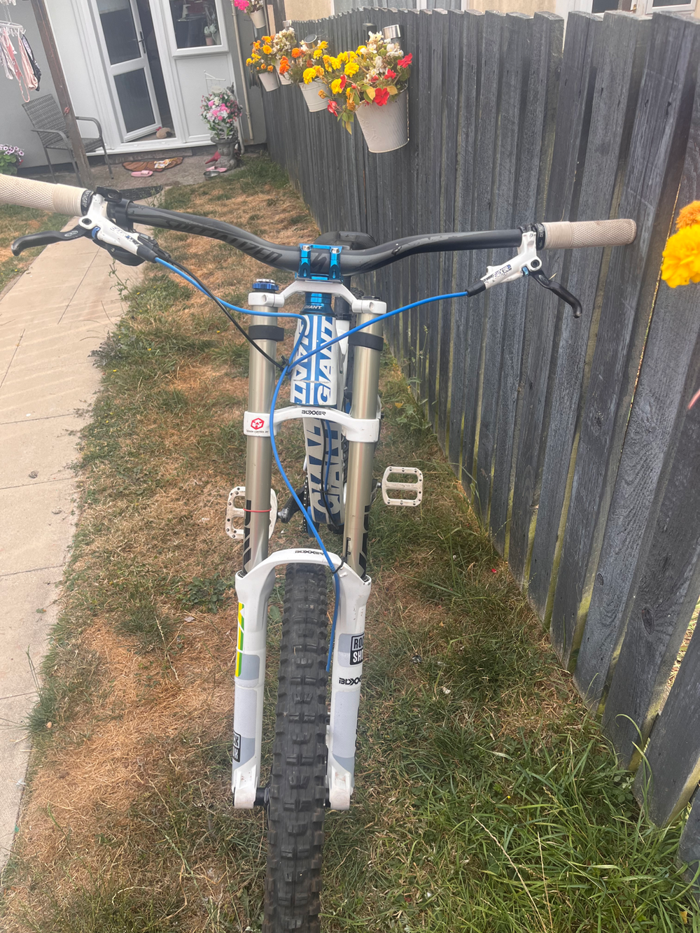 Giant Glory Advanced Downhill 2024