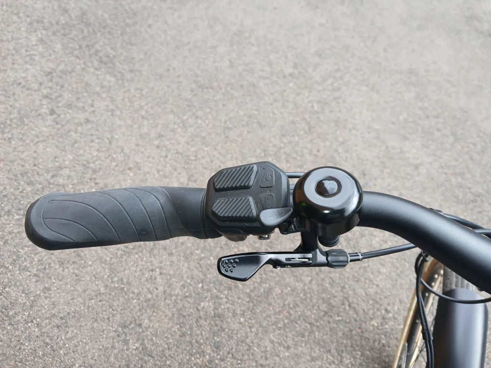 Momentum Vida E+ Low-Step 500Wh 2025