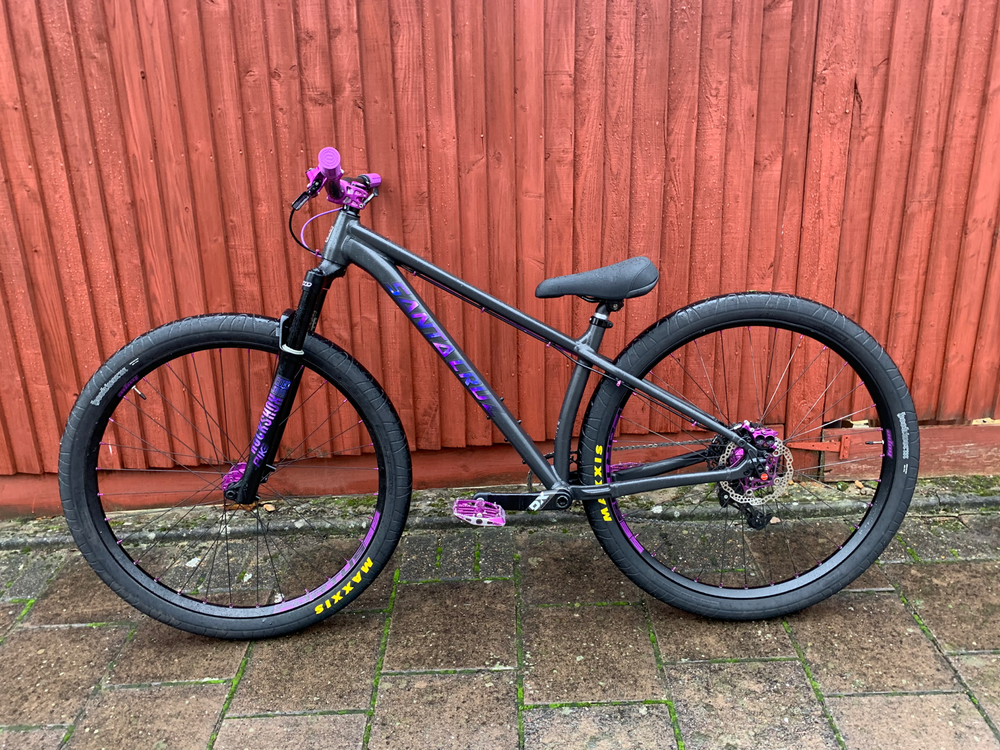 Santa Cruz CHAMELEON D / AL / 29 2022