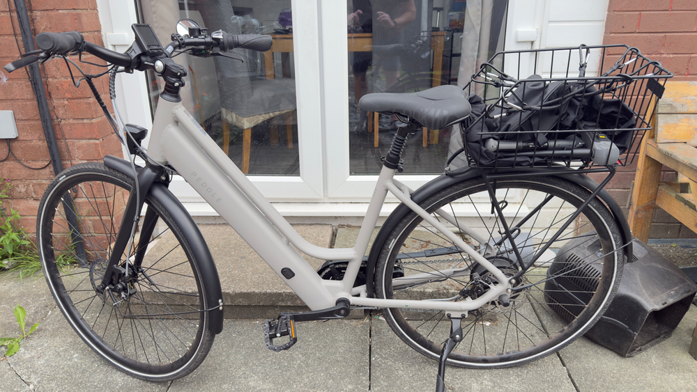 Peddle Step 2025