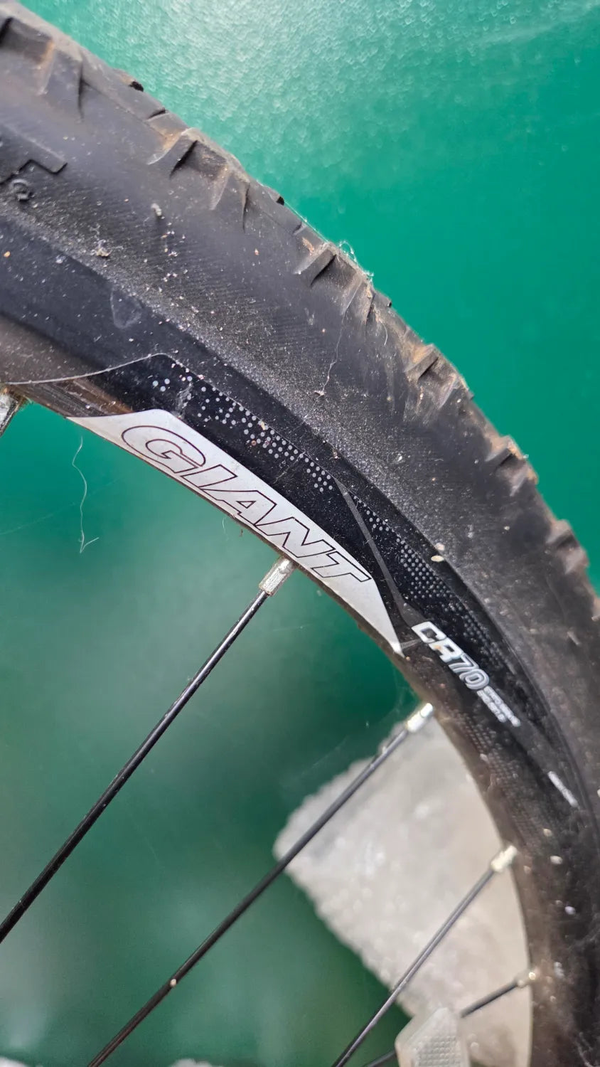 Giant Roam 2 Disc 2016