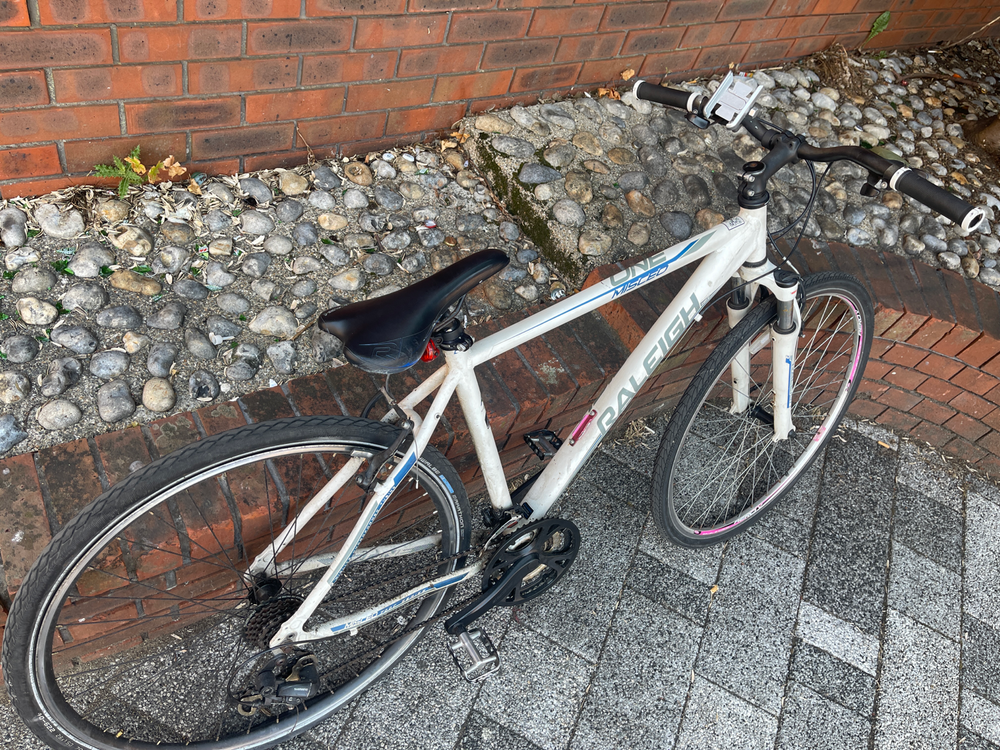 Raleigh Venture iE 2021