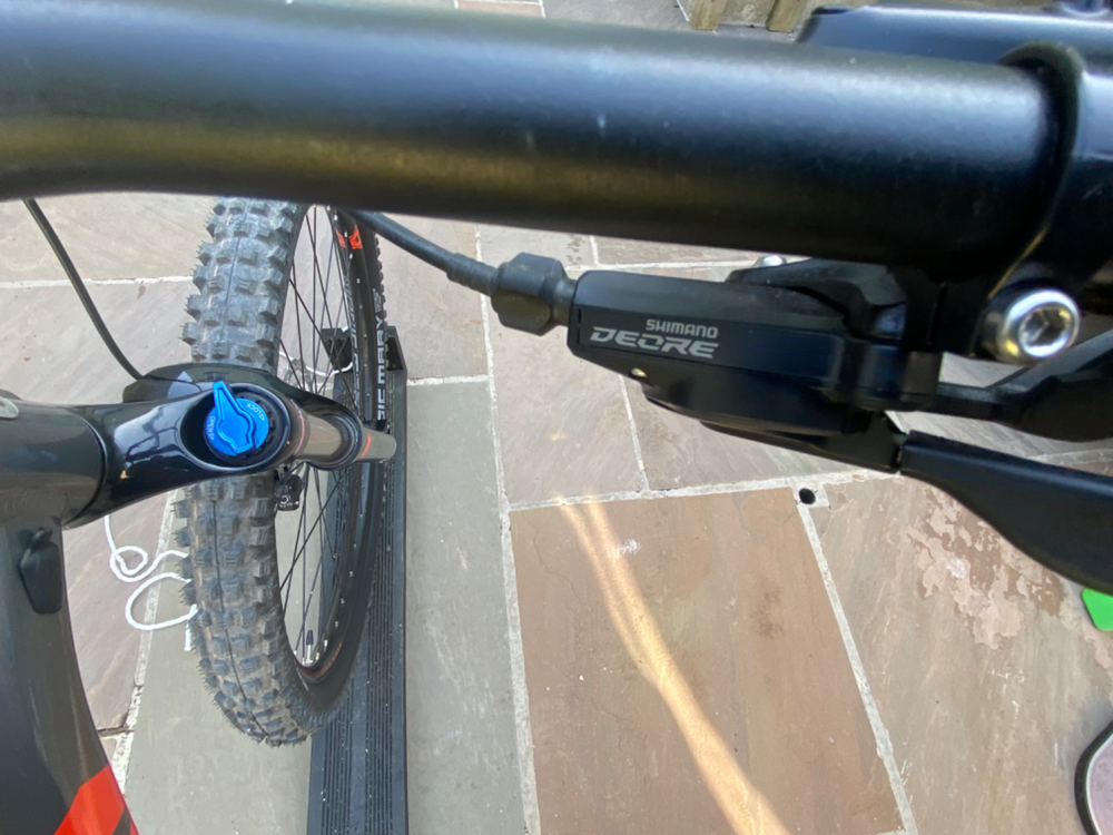 Marin Bobcat Trail 5 2022