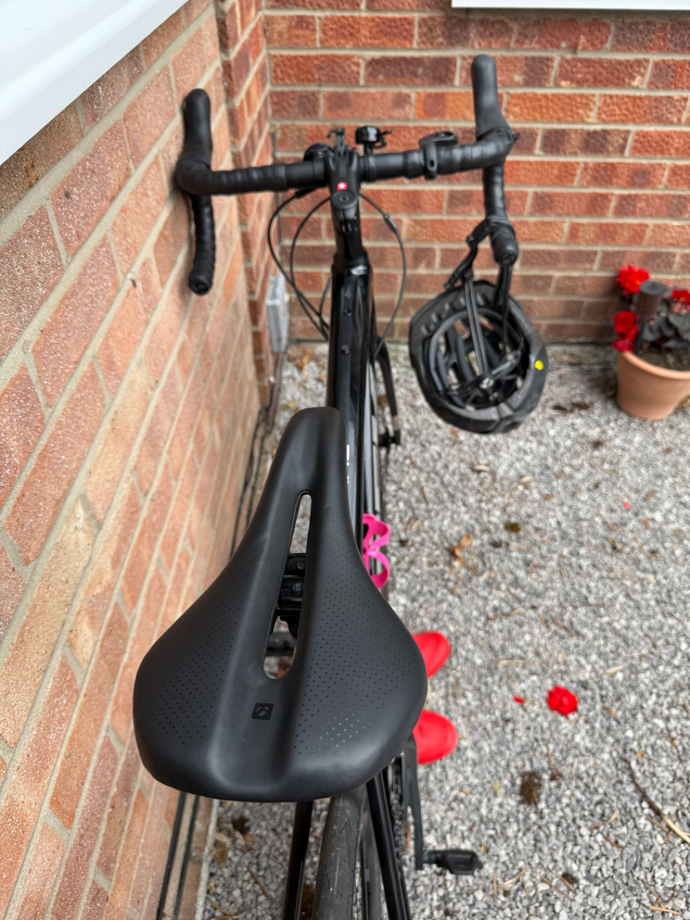 Trek Domane AL 4 Disc 2021