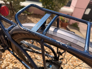 Raleigh Array E Motion Low Step 2022