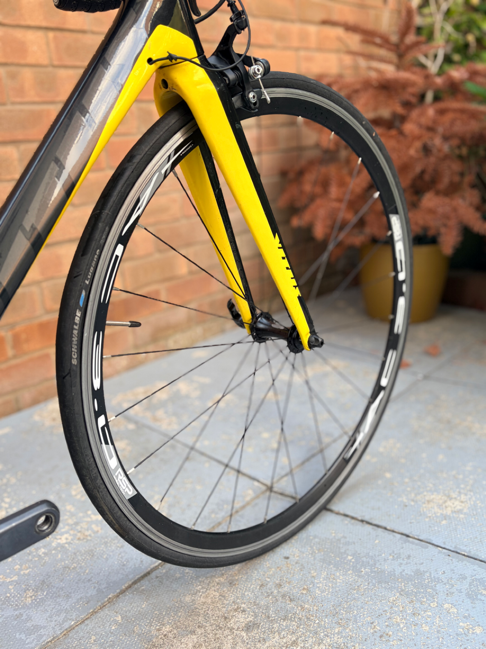 Vitus Vitesse Evo Ultegra Di2 2013