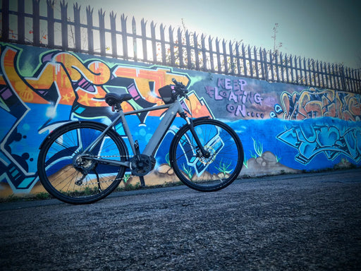 Riese & Muller Roadster 2021