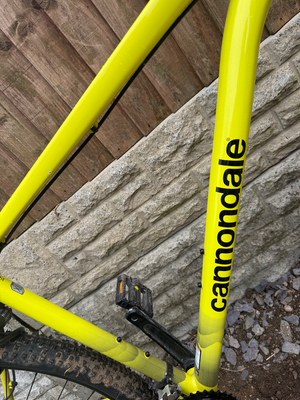 Cannondale Trail 8 2023
