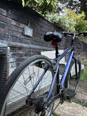 Argon 18 Cx10