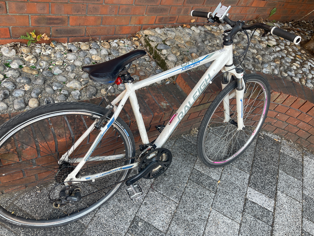 Raleigh Venture iE 2021