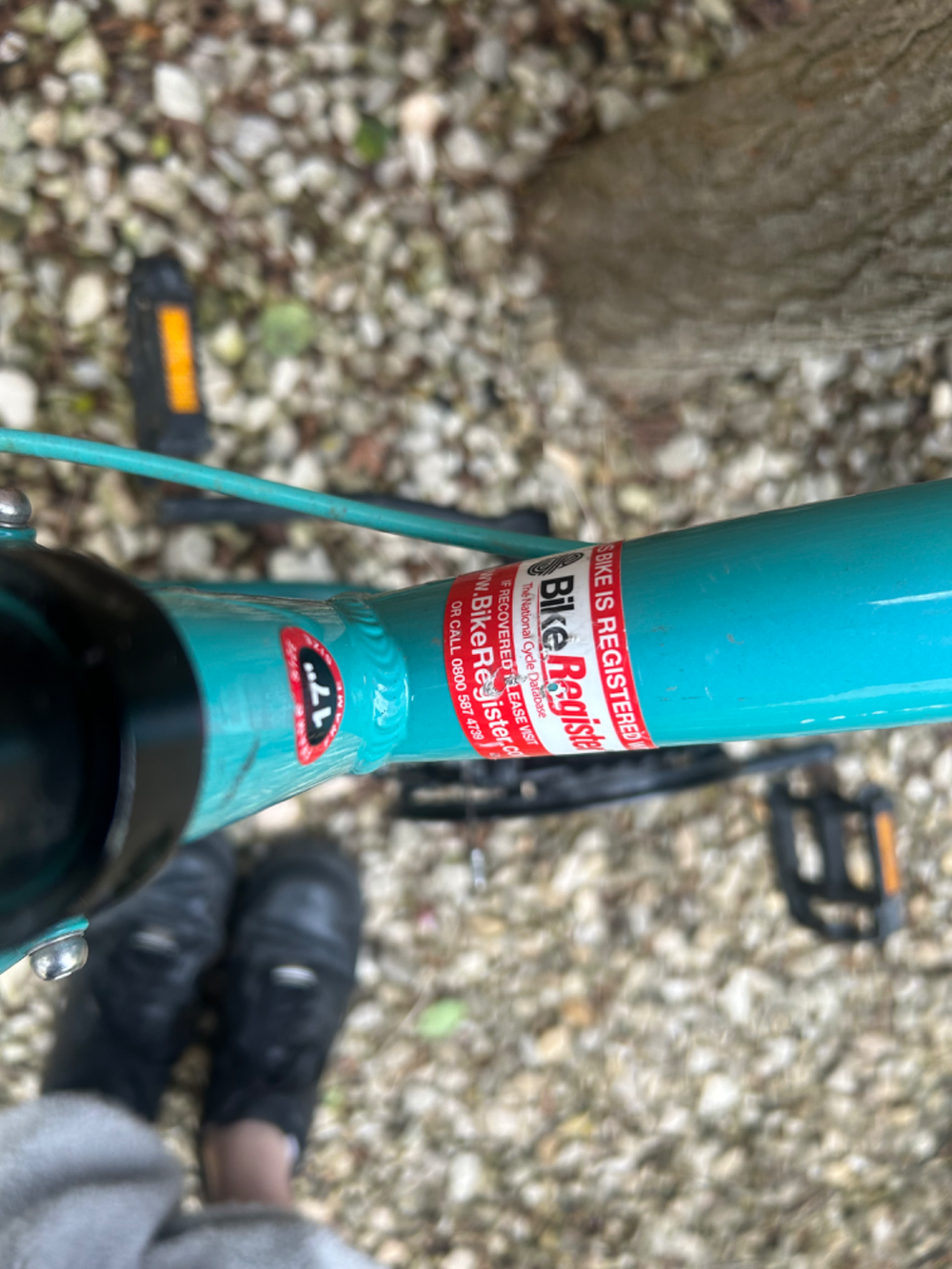Apollo Entice Womens Mountain Bike 2023