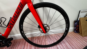 Specialized Roubaix Elite 2019