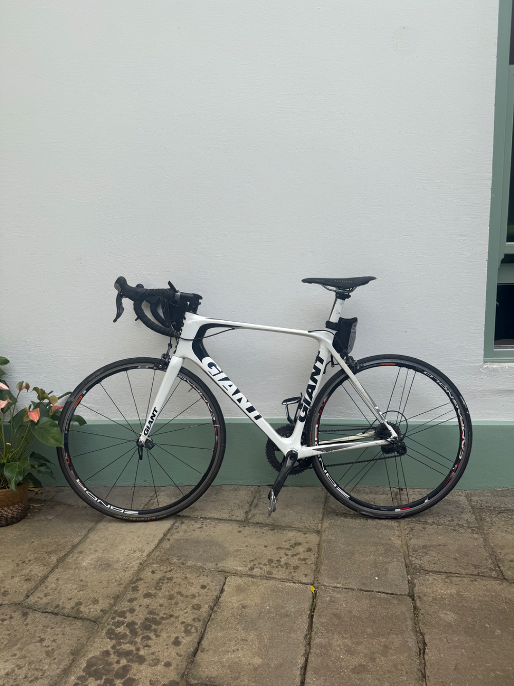 Giant TCR Advanced 2010