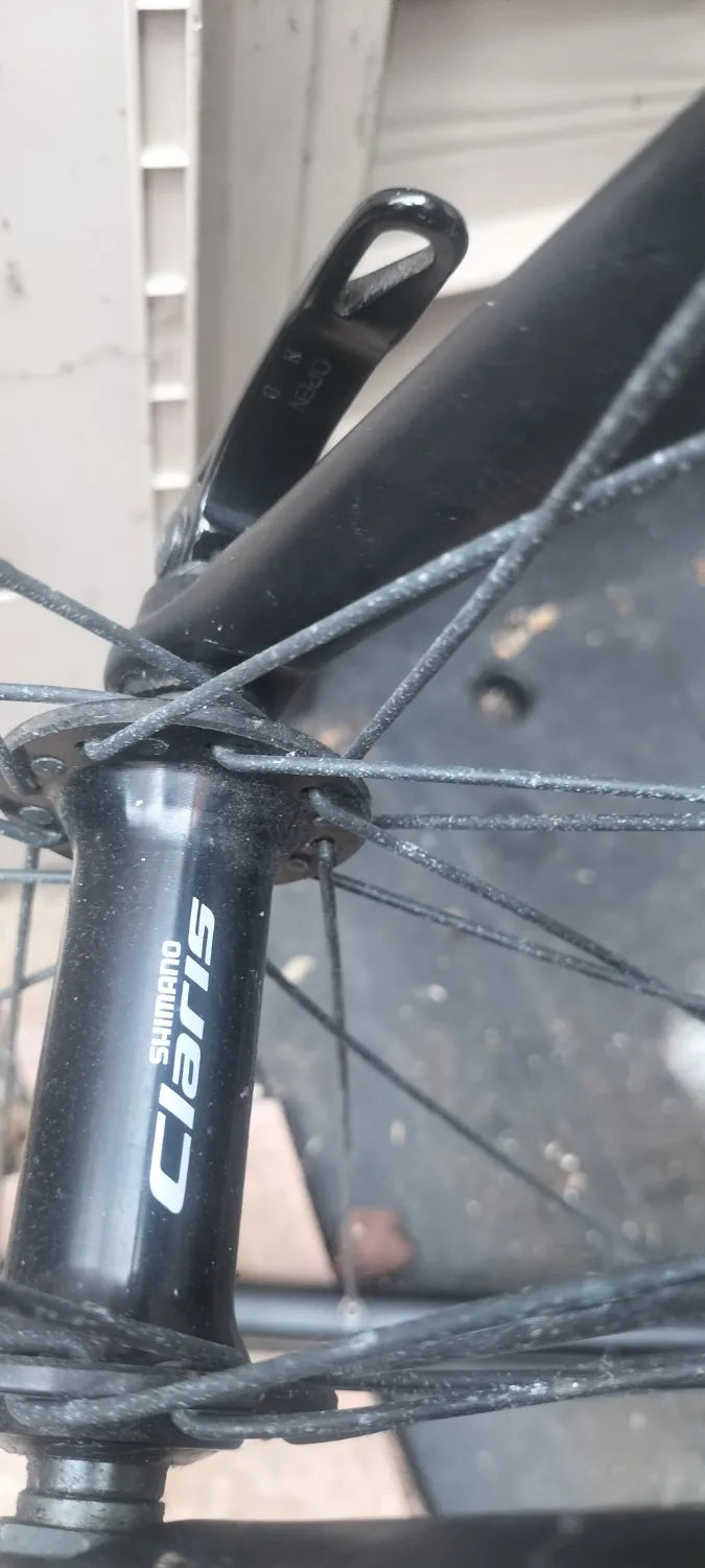 ORBEA Avant H55 2022