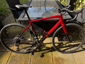 Trek Domane AL 2 Gen 4 2024