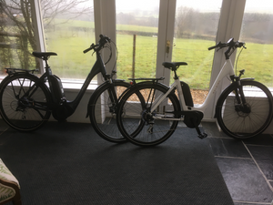 Raleigh Motus Step Through Bosch 2022