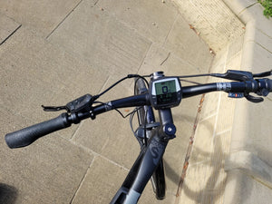 Haibike SDURO Trekking 1.0 2020