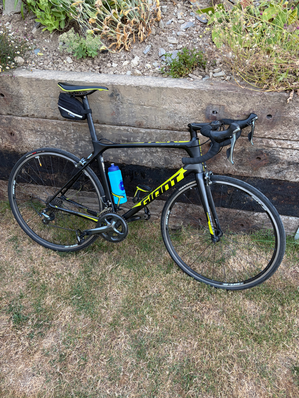 Giant TCR Advanced 2 Carbon Road 2026
